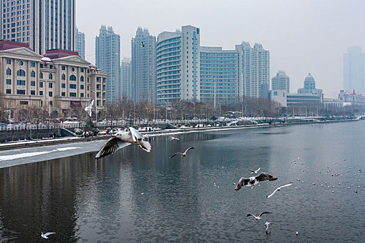 中国天津海河冬季雪景