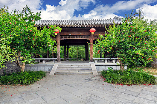 夏日园林景观,山东省青州古城偶园