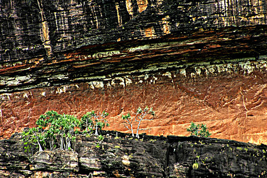 诺朗格岩石,特写,卡卡杜国家公园,北领地州,澳大利亚