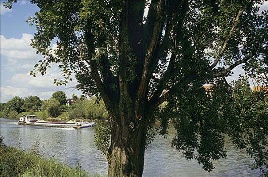 法国,驳船,河,树