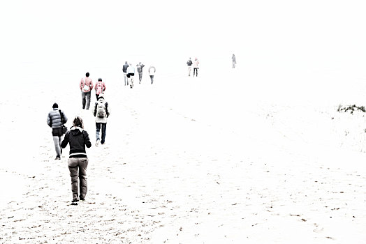 南非,雾,人,冬天,海滩