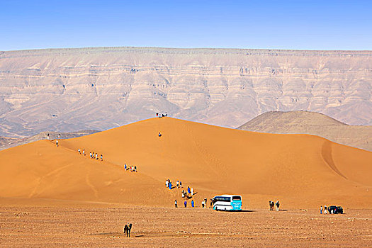 摩洛哥,德拉河谷,旅游,向上,沙丘