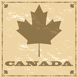 加拿大枫叶图片
