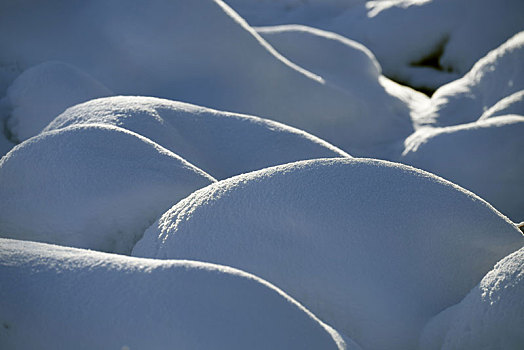 雪景