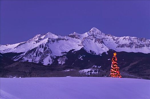 装饰,圣诞树,仰视,顶峰,冬天,特柳赖德