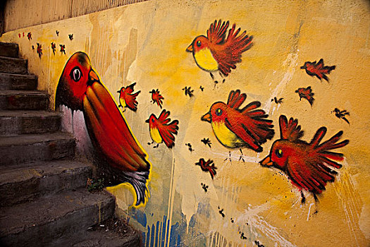 南美,智利,瓦尔帕莱索,涂绘,壁画,红色,鸟,世界遗产
