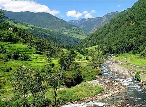 稻田,喜玛拉雅,风景