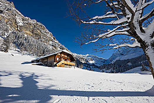 大雪,局部,世界遗产,背景,攀升,瑞士