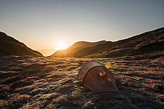 冰盖,帐蓬,晨光,山景,格陵兰,北美