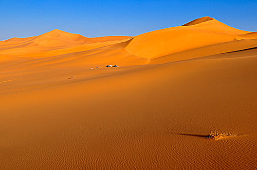 旅游,露营,沙子,沙丘,塔西里,国家,公园,阿尔及利亚,撒哈拉沙漠,北非