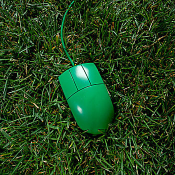 美国,犹他,绿色,电脑鼠标,草地