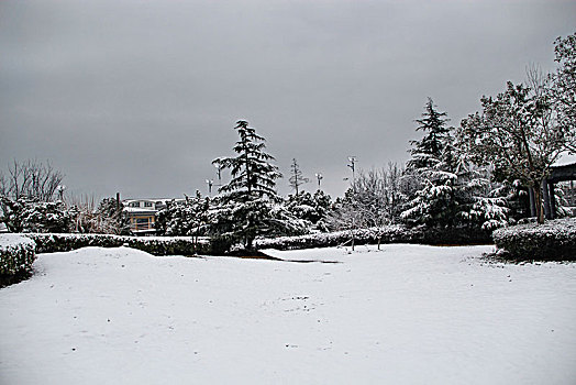 冬日雪景