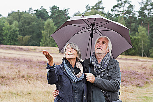 老年,夫妻,伞,检查,雨