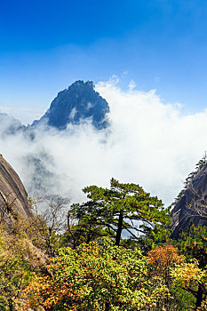 中国安徽黄山自然风光