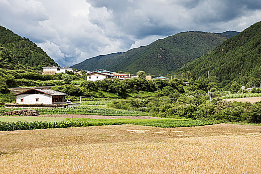 香格里拉风景