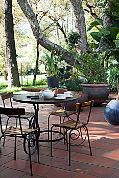花园椅,桌子,华丽,平台,仰视,树