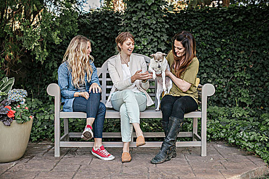 三个女人,坐,长椅,花园,狗