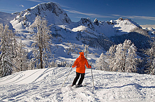 滑雪,卡林西亚,奥地利,欧洲