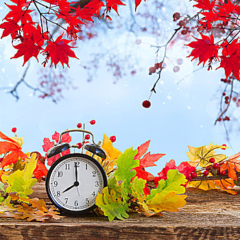 秋天,彩色,叶子,闹钟,桌上,花园,秋叶,钟表