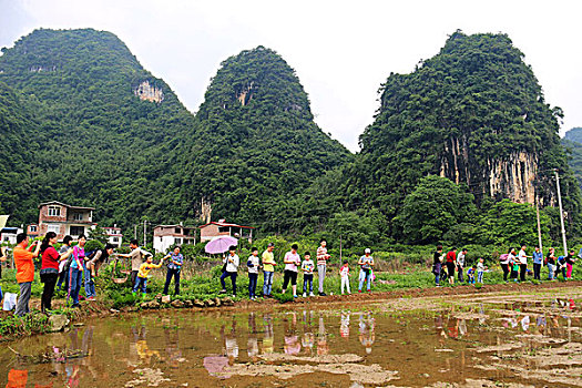 乡村旅游