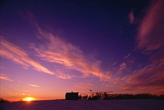 农场,日落,艾伯塔省,加拿大