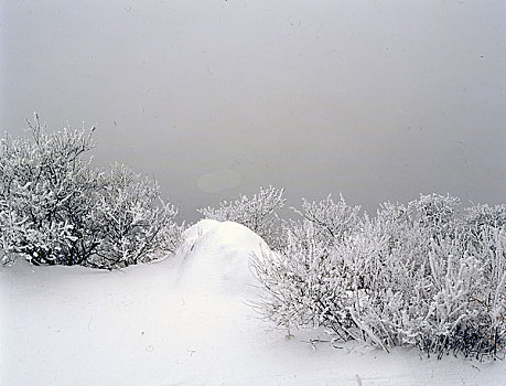 八达岭雪雾