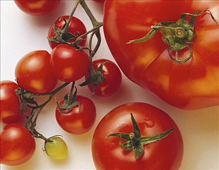 种类,西红柿