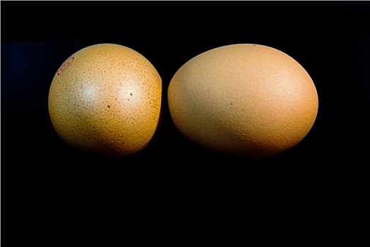 蛋,隔绝,黑色背景,背景