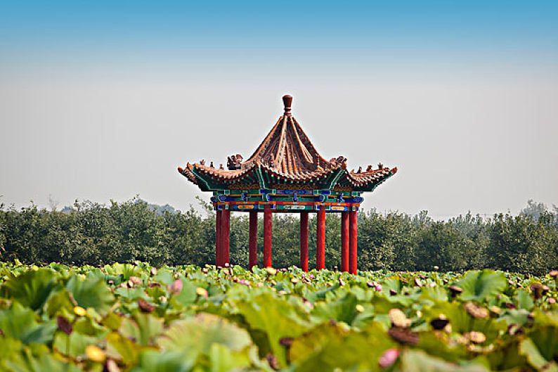 荷塘,凉亭