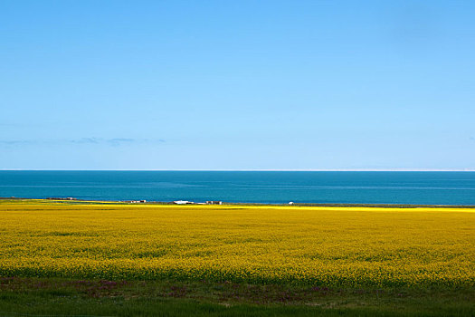 青海湖