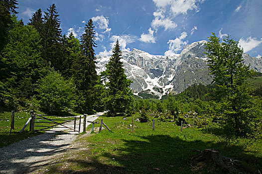 道路,阿尔卑斯山,奥地利