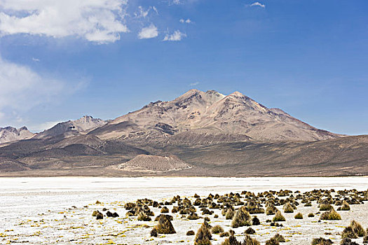 盐湖,矿,自然保护区,区域,智利,南美