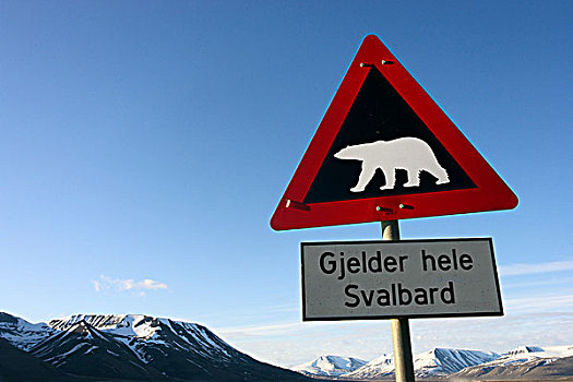 北极熊,警告标识,斯瓦尔巴特群岛,挪威