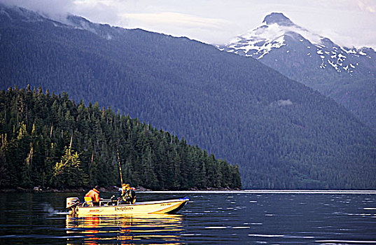 船,三文鱼,钓鱼,工作,水道,不列颠哥伦比亚省,加拿大