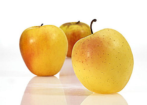 金色,苹果,白色背景