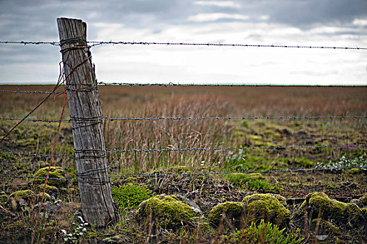 木杆,刺铁丝网,栅栏,靠近,冰岛,欧洲