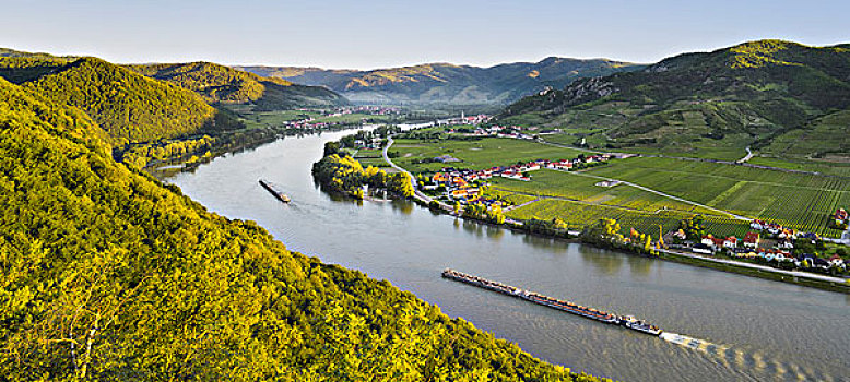 风景,杜恩斯坦,多瑙河,瓦绍,下奥地利州,奥地利