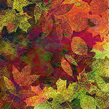 艺术,叶子,秋天,背景,卡片