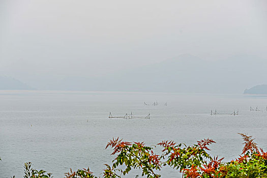 远山,网箱,船,风景,水,反光