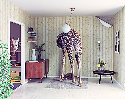 长颈鹿,客厅,创意,概念,照片,电脑制图,组合