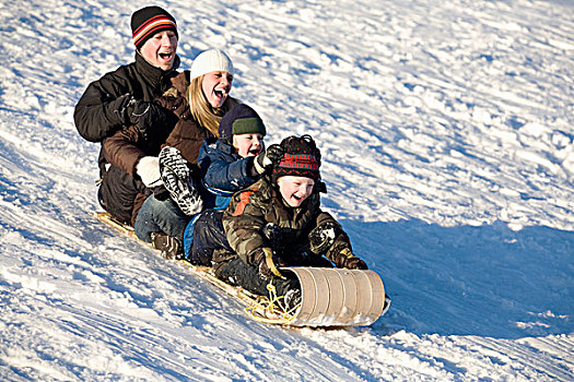 家庭,骑,雪橇,山,艾伯塔省,加拿大