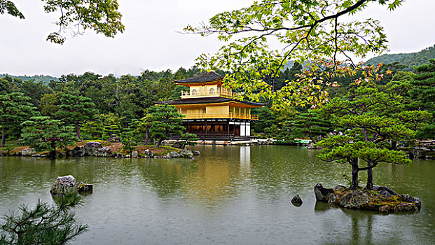 金阁寺,京都,寺庙,日本