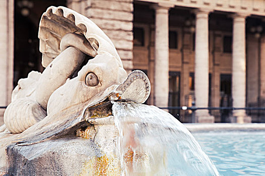 碎片,喷泉,海豚,意大利,罗马,广场