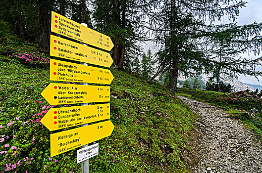 徒步旅行,标志物,高山,山峦,国家公园,提洛尔,奥地利,欧洲