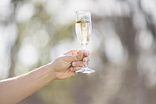 男性,握着,玻璃杯,香槟,花园
