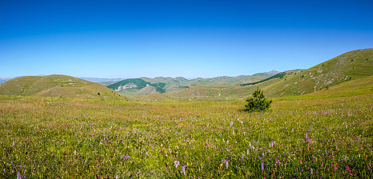 大萨索山,山顶,草原,高原,阿布鲁佐,意大利,自然风光,风景,亚平宁,山