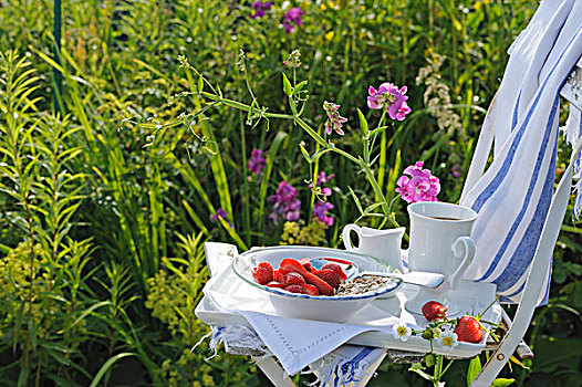 托盘,牛奶什锦早餐,草莓,咖啡杯,花园椅