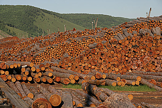 木材,木头