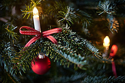 圣诞装饰,圣诞树,特写