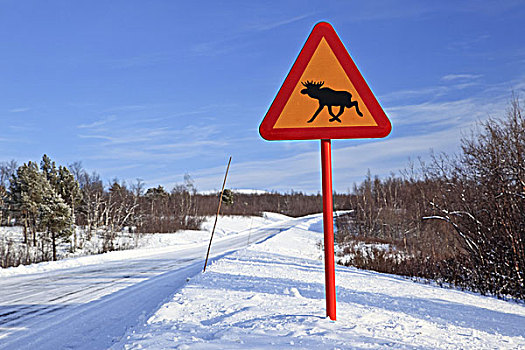 瑞典,拉普兰,冬季风景,街道,标识